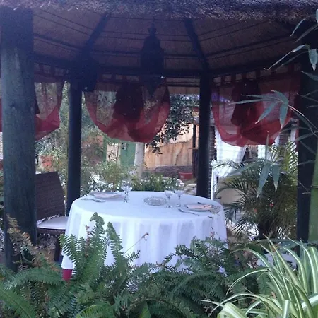 Rei Jaume Hotel Alicante